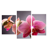 Предметы интерьера