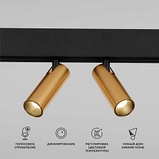 Трековый светодиодный светильник Elektrostandard (Умный дом) Slim Magnetic Dim Dual 85056/01 латунь a063527