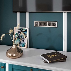 Накладка Werkel для TV розетки оконечной бронзовый W1193012 4690389161810 2