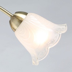 Потолочная люстра De City Флора 670011108 3