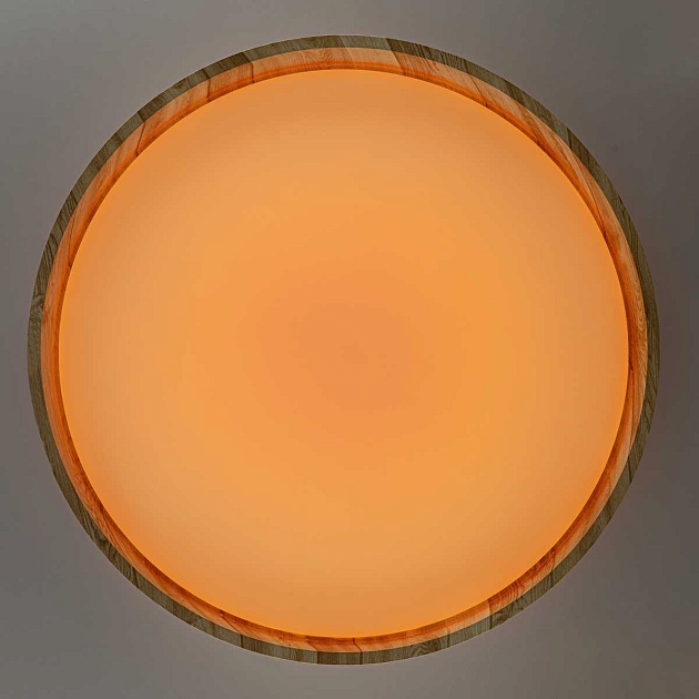 Потолочный светодиодный светильник Citilux Enzo CL753452G Фото № 13