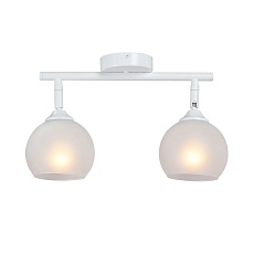 Спот Vitaluce V4313-0/2PL 5