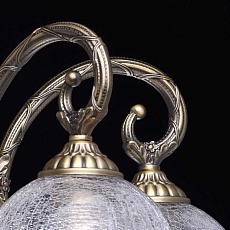 Потолочная люстра MW-Light Аманда 6 481011805 1