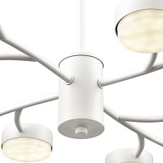 Люстра Lumion TORINA 8265/12 2