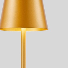 Настольная лампа F-Promo Pyari 4616-1T 5