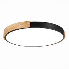 Потолочный сетодиодный светильник Evoluce Delia SLE201342-01 1