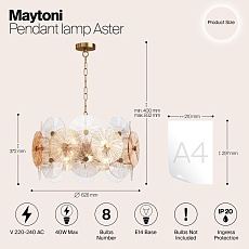 Подвесная люстра Maytoni Aster MOD007PL-08G 3