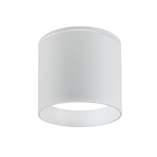 Уличный светильник Favourite Fantum 4662-1U