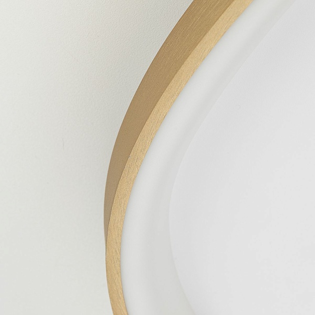 Потолочный светодиодный светильник Citilux Genka Smart CL756A162 Фото № 3