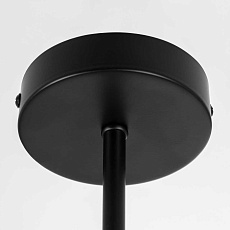 Потолочная люстра Citilux Fisher CL218163 3