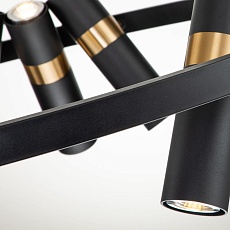 Подвесная люстра Favourite Light Point 2997-9P 4