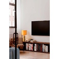 Настольная лампа Lumion Moderni Segi 8130/1T 3