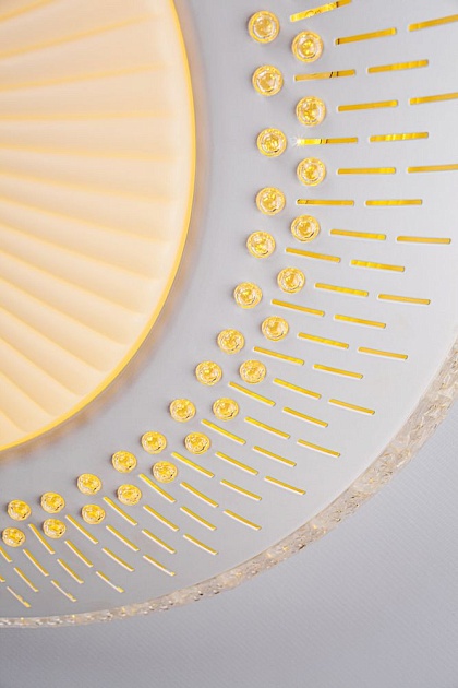 Потолочный светодиодный светильник Escada 10213/1LED Фото № 6