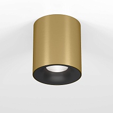 Потолочный светодиодный светильник Elektrostandard Primo 25116/LED a069414