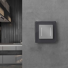 Рамка Werkel Elite на 1 пост графит W0012440 4690389180675 5