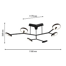 Потолочная светодиодная люстра Favourite Paritet 4401-6C 1