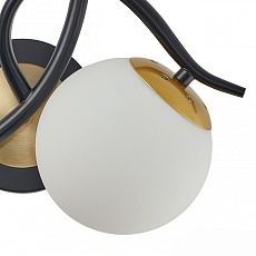 Потолочная люстра Arte Milano Neapolis73408 273408/6 BK/GD 2