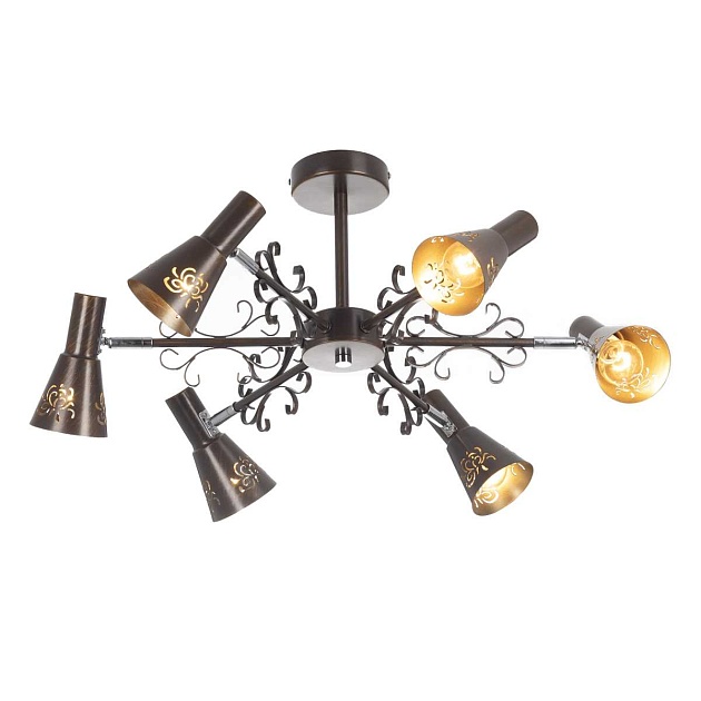 Потолочная люстра Citilux Дункан CL529161 изображение 6 Потолочная люстра Citilux Дункан CL529161 Фото № 6