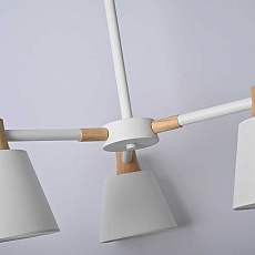 Подвесная люстра Imperium Loft Natura 101826-26 5