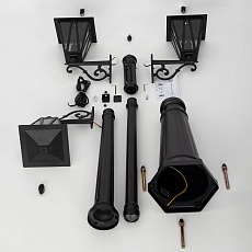 Садово-парковый светильник Citilux Forts CLU09P3 3