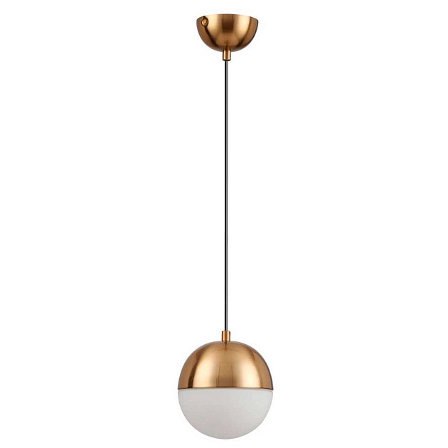 Подвесной светильник Odeon Light Pendant Pinga 4960/1 Фото № 1
