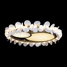 Потолочный светодиодный светильник Loft IT Bride 10174 1