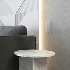 Диммер (дымчатый) W1242004/ a069461 1