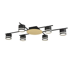 Светильник потолочный Lumion BENUA 8304/6C 3