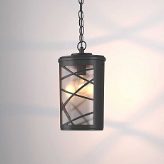 Уличный подвесной cветильник Elektrostandard Premier H GL 1017H a039857