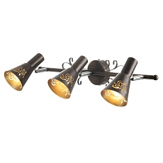 Спот Citilux Дункан CL529531 5