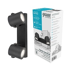 Уличный настенный светильник Gauss Sonata GD153 4