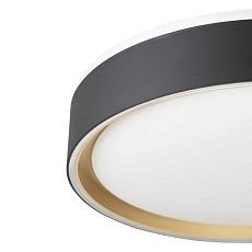 Потолочный светодиодный светильник Citilux Boss CL751251G 1