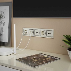 ТВ-розетка проходная Werkel (слоновая кость) W1184003 4690389155819 2