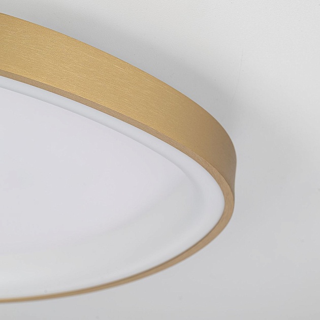 Потолочный светодиодный светильник Citilux Genka Smart CL756A142 Фото № 5