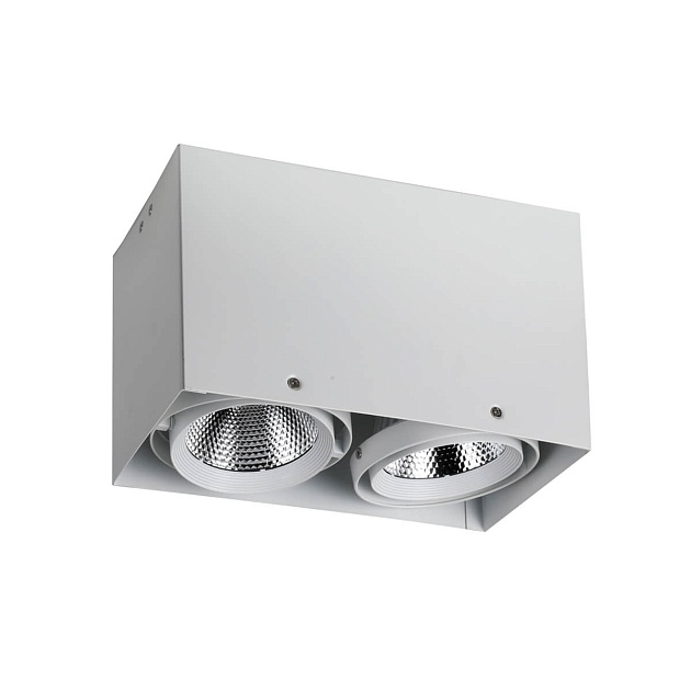 Потолочный светодиодный светильник Favourite Flashled 1986-2U Фото № 1