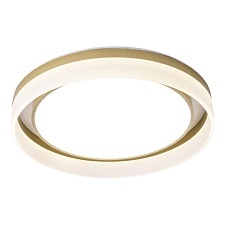 Потолочный светодиодный светильник Zortes Adel ZRS.1200.01