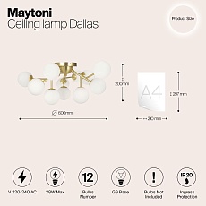 Потолочная люстра Maytoni Dallas MOD545CL-12BS 1