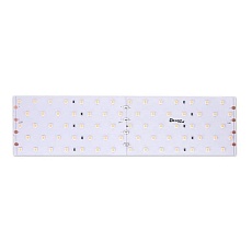 Светодиодная влагозащищенная лента DesignLed 31W/m 350LED/m 2835SMD теплый белый 2,5M 000534 4