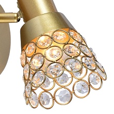 Спот Reluce 05954-0.8-01 Gold 1