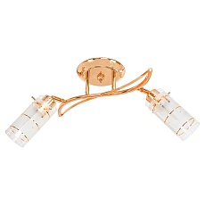 Потолочный светильник ЭкономСвет 11187/2FG WT