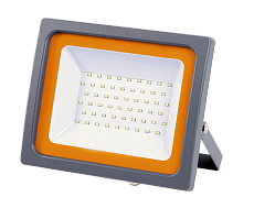 Прожектор светодиодный Jazzway PFL-SC 100W 6500K 5001428 1