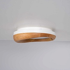 Потолочный светодиодный светильник Imperium Loft Runis 140974-26 4