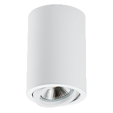 Потолочный светильник Lightstar Rullo 214406 1