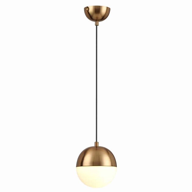 Подвесной светильник Odeon Light Pendant Pinga 4960/1 Фото № 3