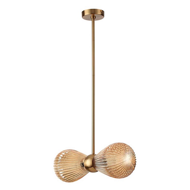 Подвесная люстра Odeon Light Exclusive Elica 5402/2 Фото № 1