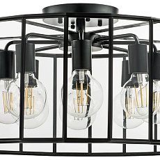 Потолочная люстра Lightstar Genni 798287 4