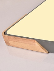 Потолочный светодиодный светильник Natali Kovaltseva LED LAMPS 81413 2