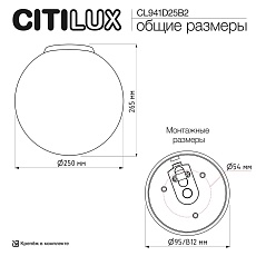 Светильник потолочный Citilux RON CL941D25B2 2
