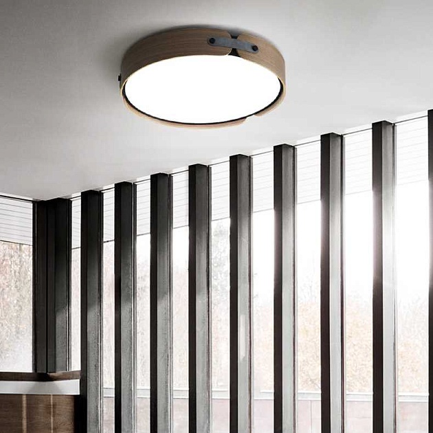 Потолочный светильник Imperium Loft Range 101959-26 Фото № 8