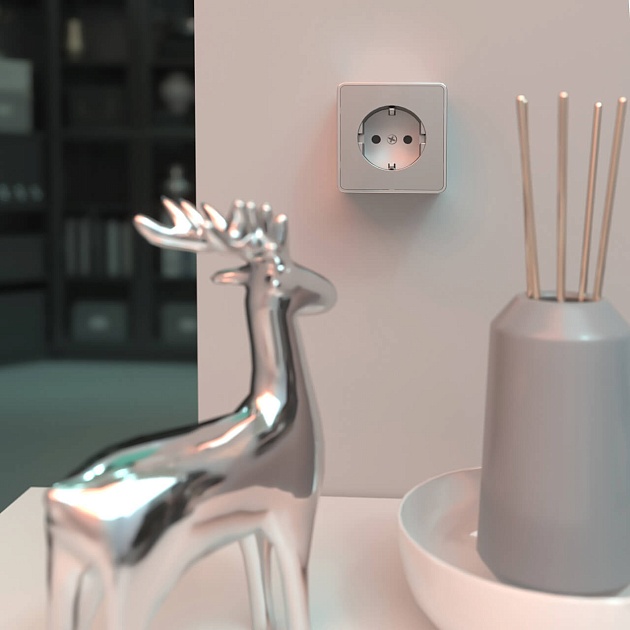 Розетка с заземлением Werkel Gallant серебряный W5071006 4690389167157 Фото № 5